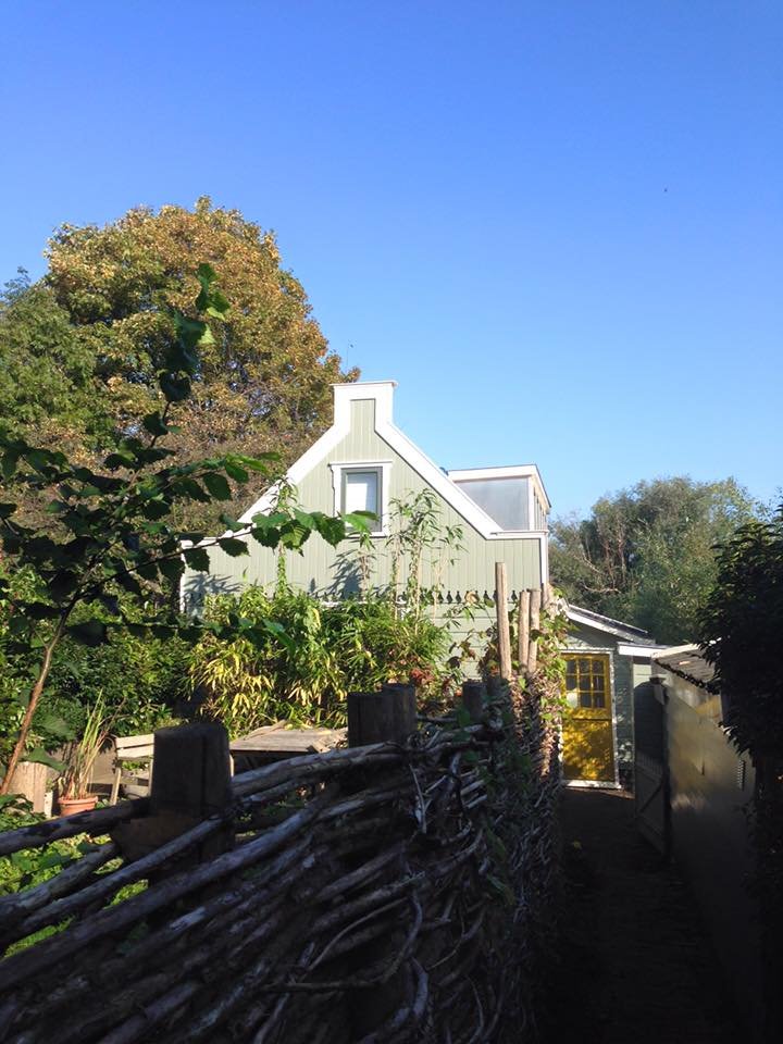 houtrot herstel zaandam